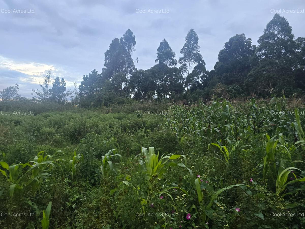 1 ac Land at Gicharani - 11