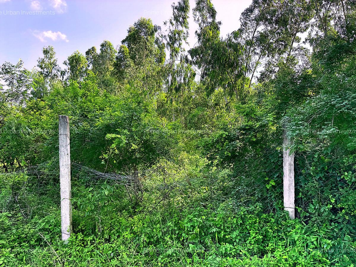3,638 ft² Land at Mtwapa Cbd - 10