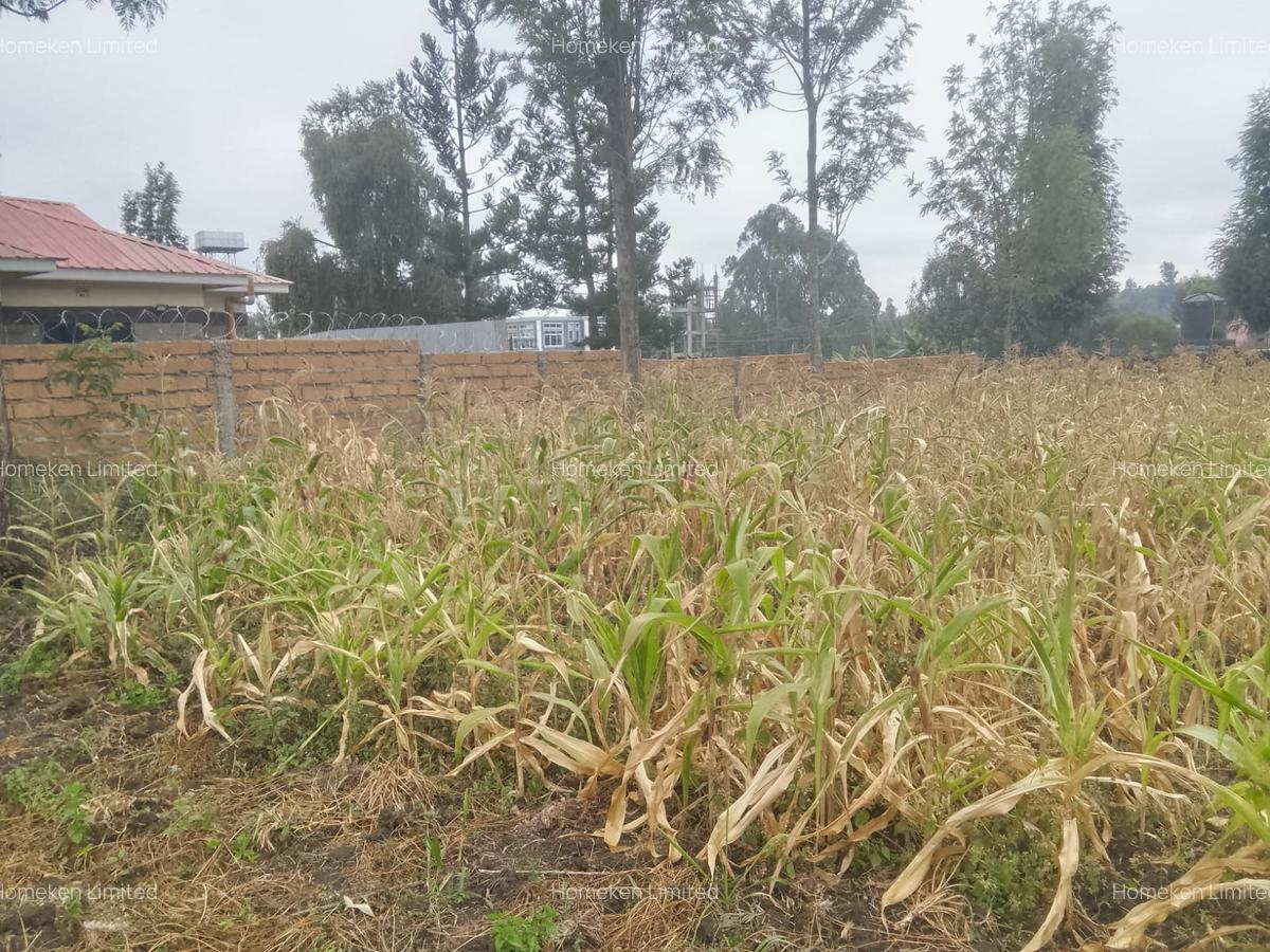 0.10 ha Land at Olkeri - 3