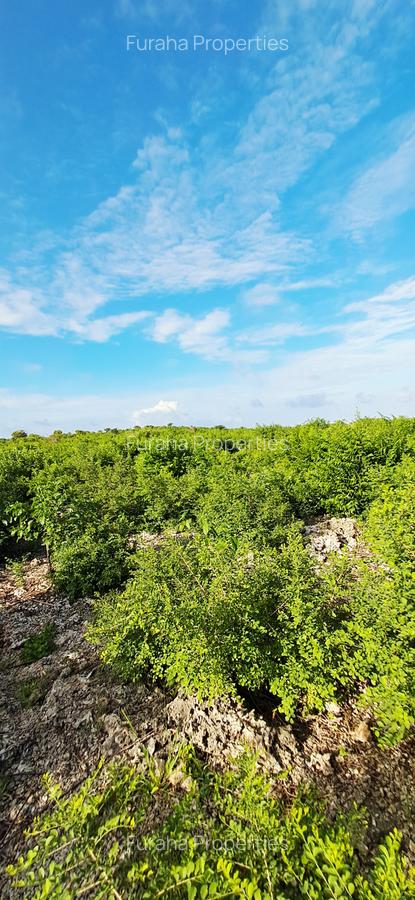 Land at Watamu - 6