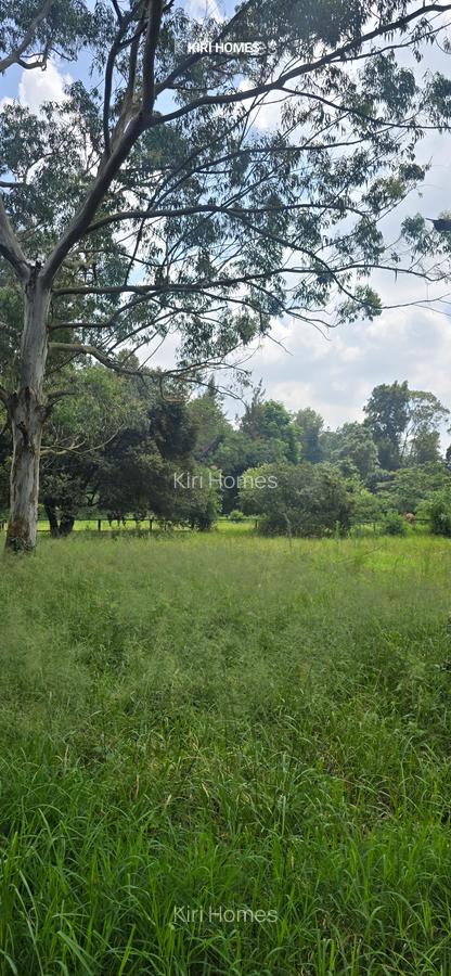 Land in Karen - 1