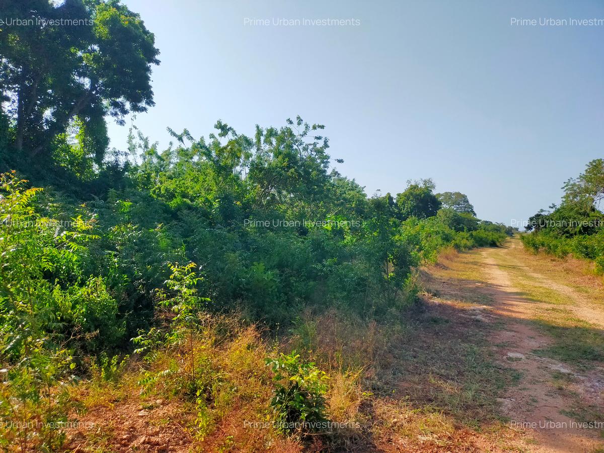 Land in Vipingo - 7