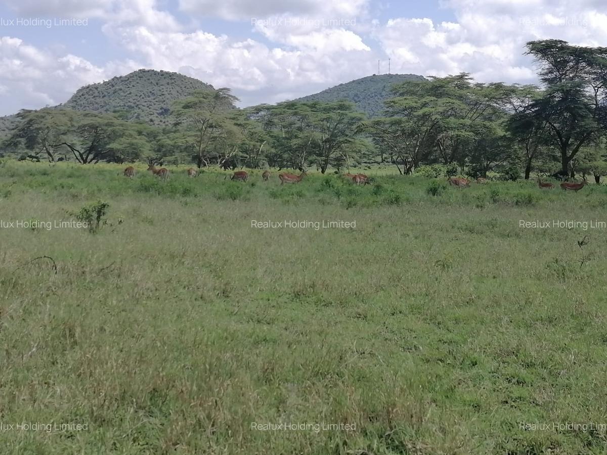 Land in Naivasha - 16