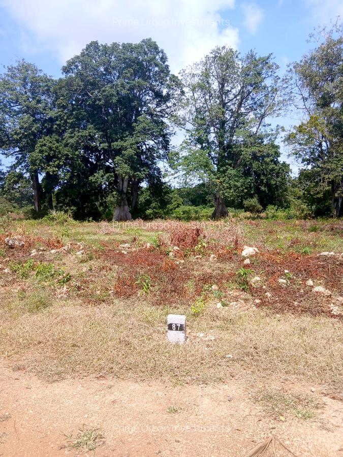 1,000 m² Residential Land at Vipingo - Kuruwitu - 2