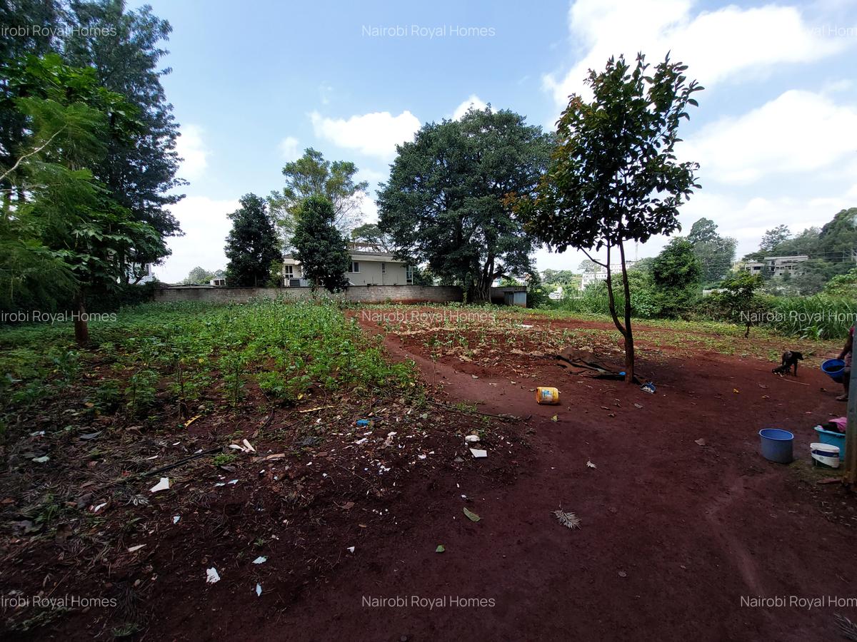 Residential Land at Kirawa Road - 3