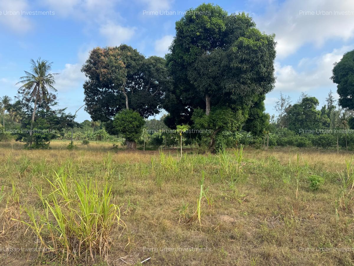 30 ac Land at Kikambala Bomani - 8