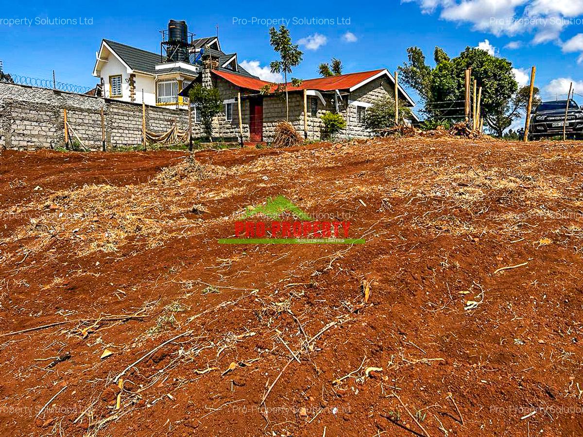 0.055 ha Residential Land at Ondiri - 14