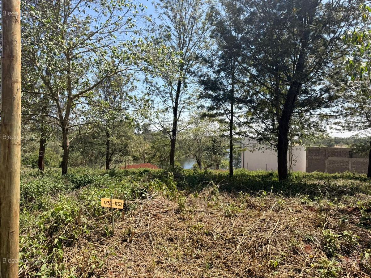 499 m² Residential Land in Tatu City - 11