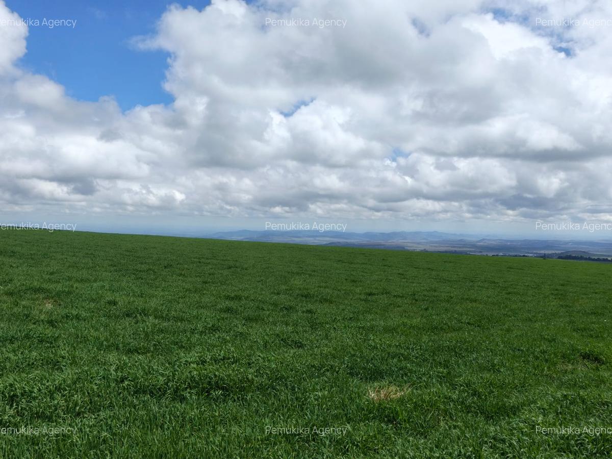 314 ac Land at Timau - 18