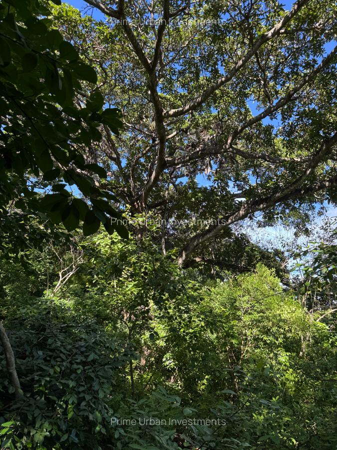 Land at Mtwpa Creek Aloo Drive - 12