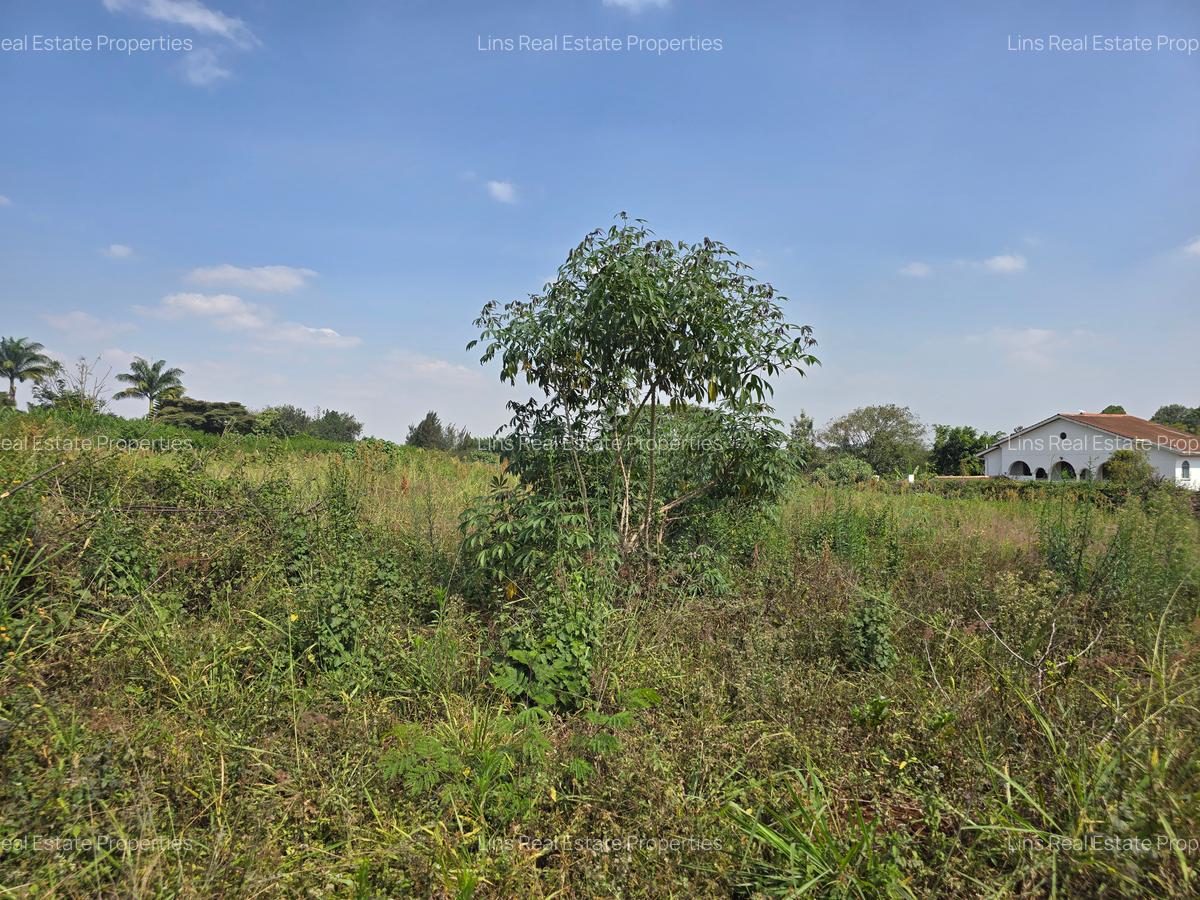 Land in Runda - 4