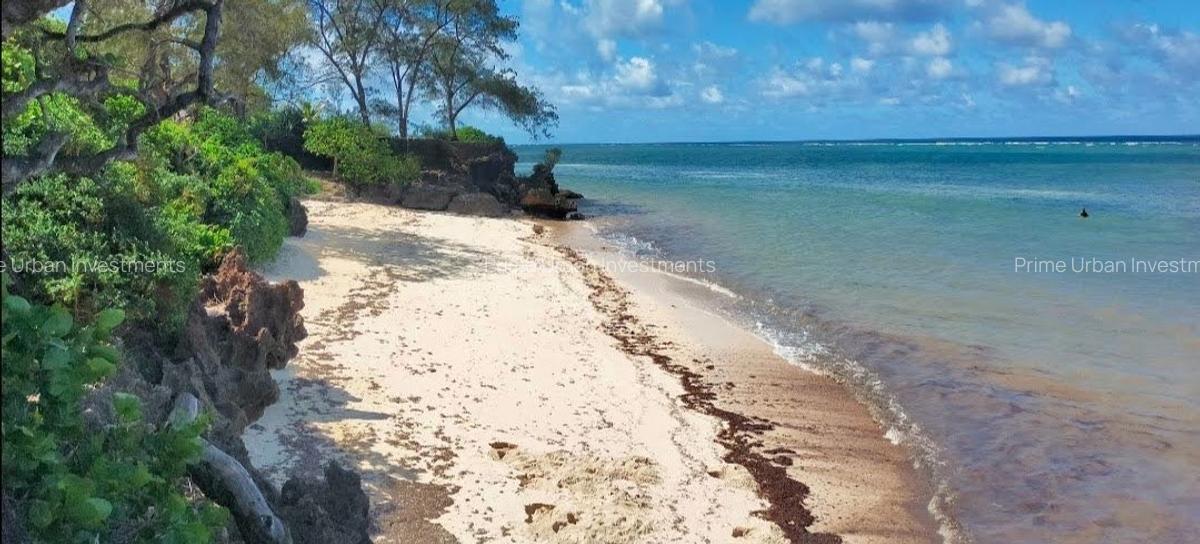Land at Kuruwitu Beach Vipingo - 14