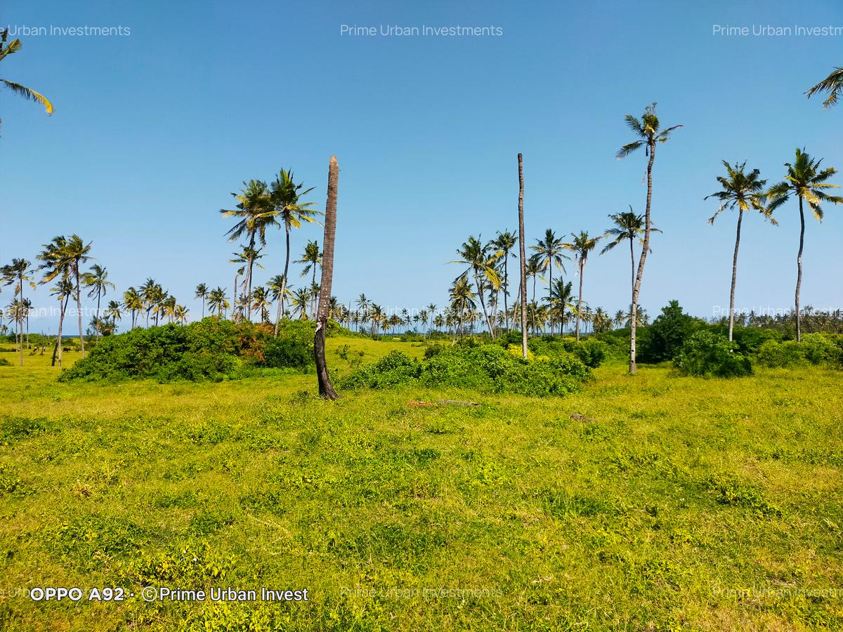 Land at Kilifi Bofa Beach - 19