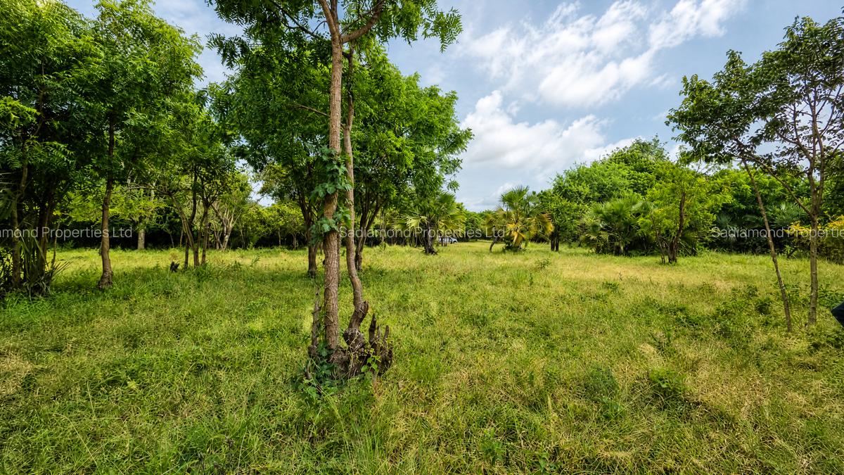 22 ac Land at Kondutsi - 2