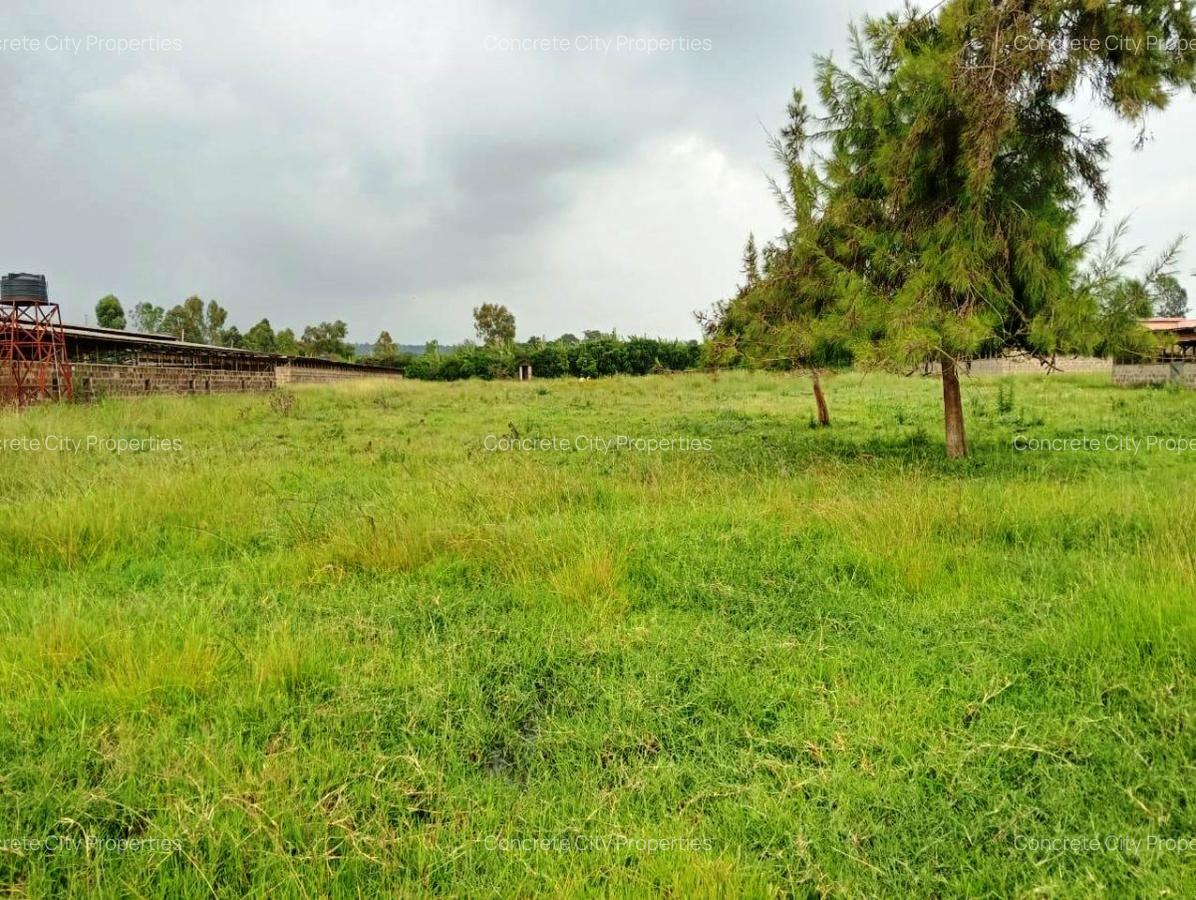 Land in Karen - 4
