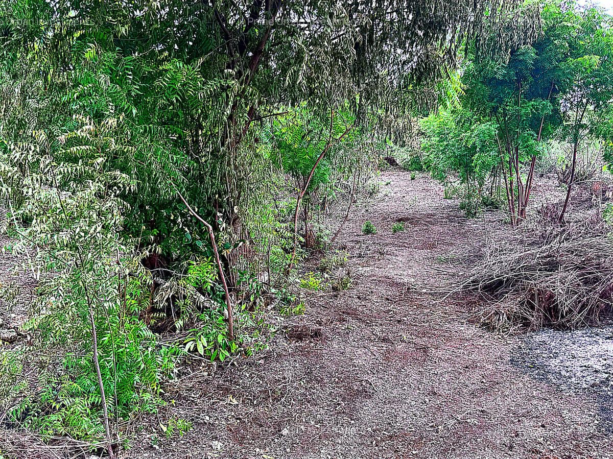 2,010 m² Residential Land at Second Row Kuruwitu Beach - 6