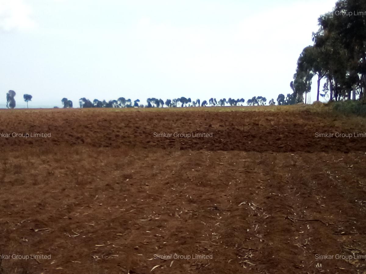 Land at Timau - 2
