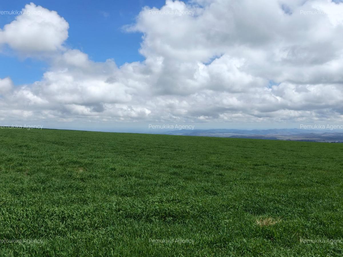 314 ac Land at Timau - 2