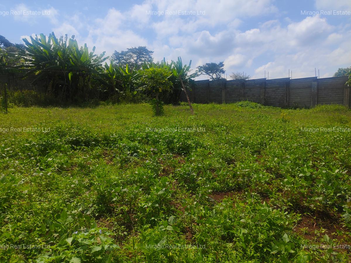 0.5 ac Residential Land in Cianda - 1