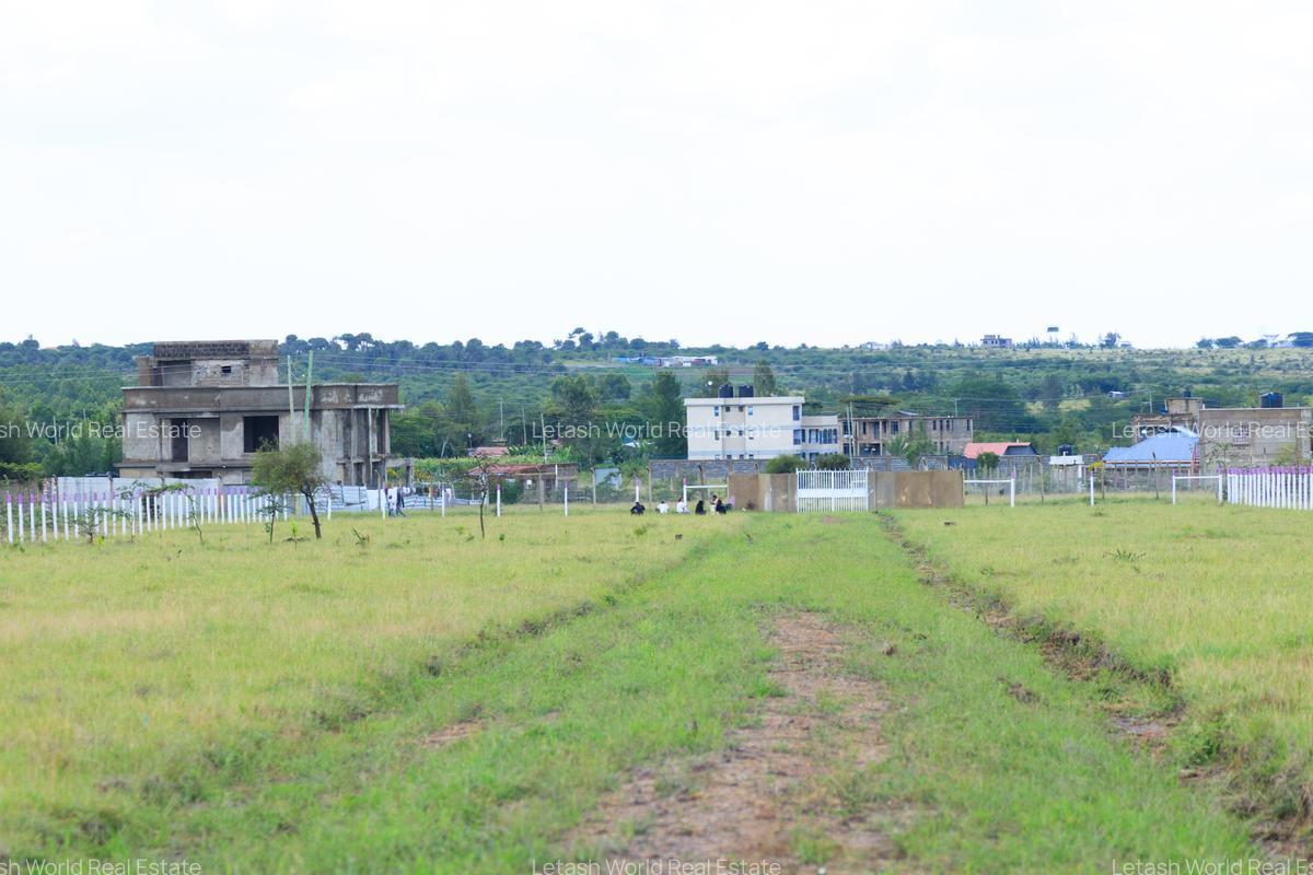 Residential Land in Malaa - 9