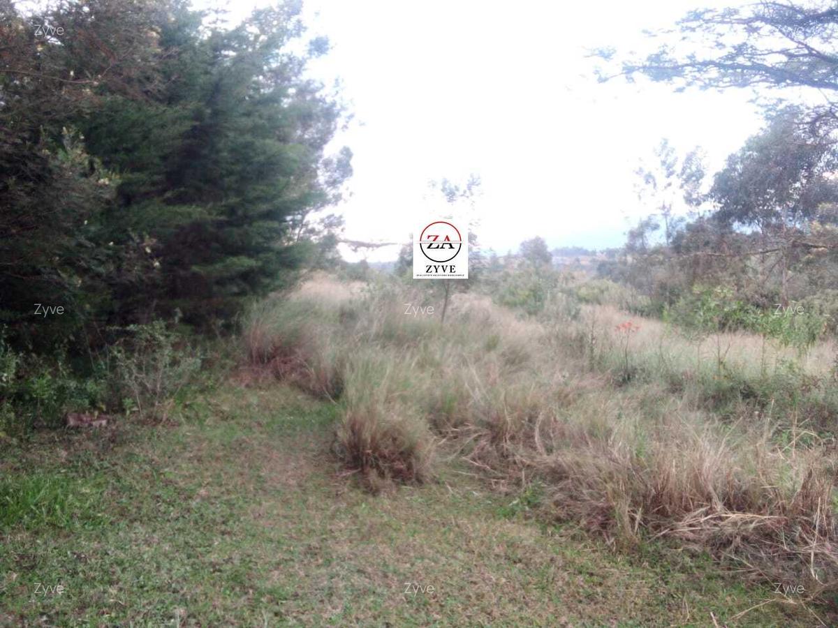 6 ac Land at Mukima Ridge - 10