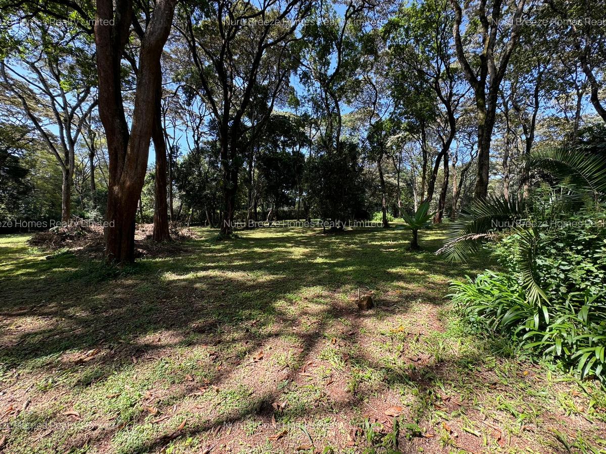 1 ac Land in Karen - 4