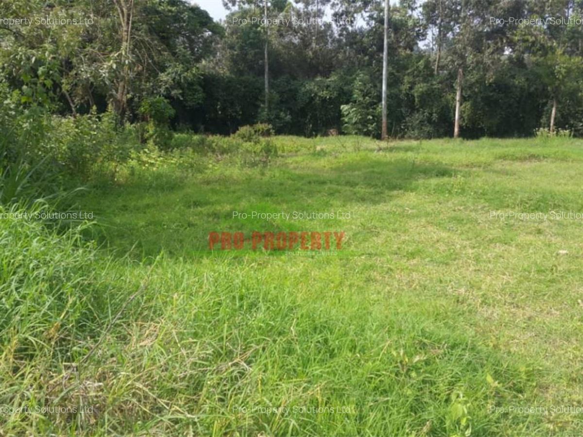 4,000 m² Land in Kikuyu Town - 15