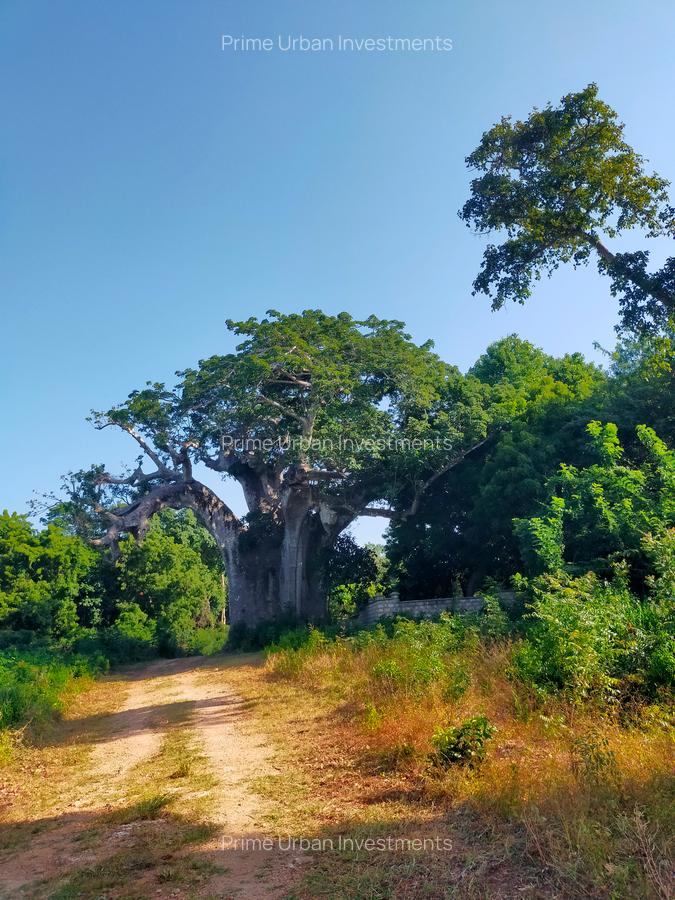Land in Vipingo - 6