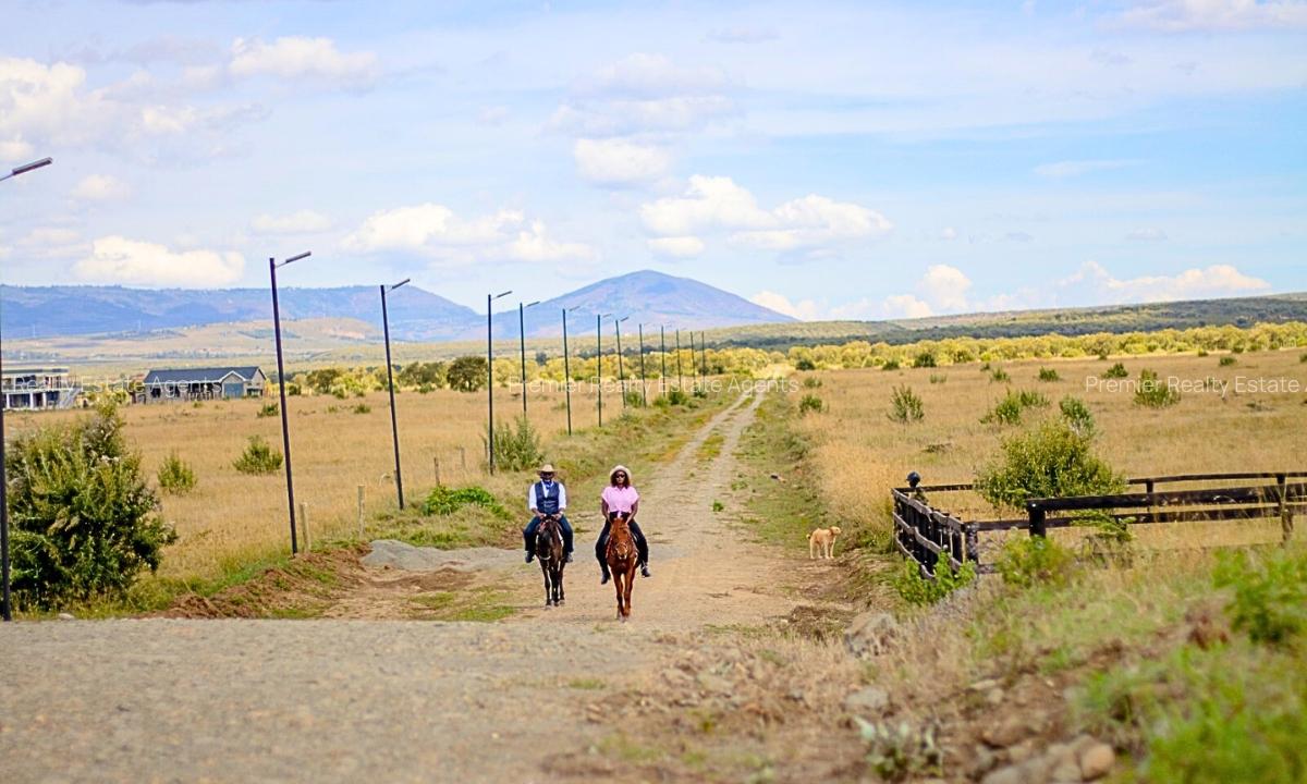 1 ac Residential Land at Naivasha - 9