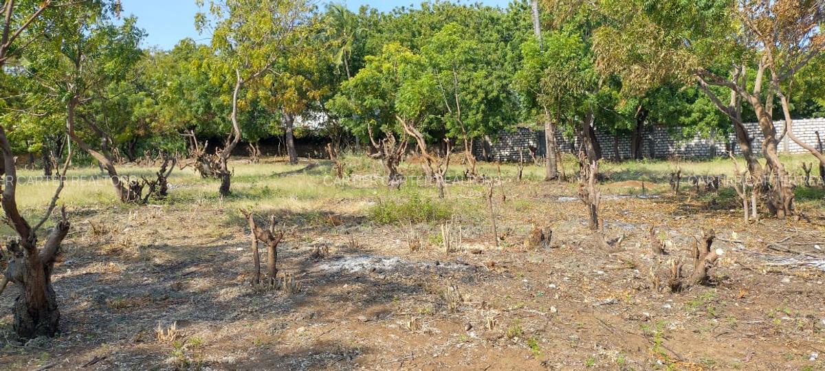 Land in Watamu - 15