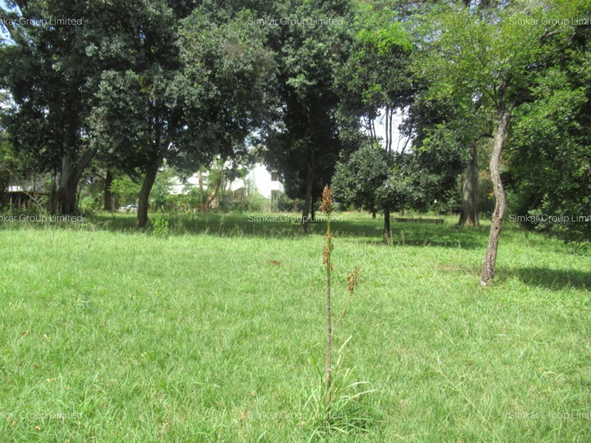Residential Land at Koitobos Rd - 11