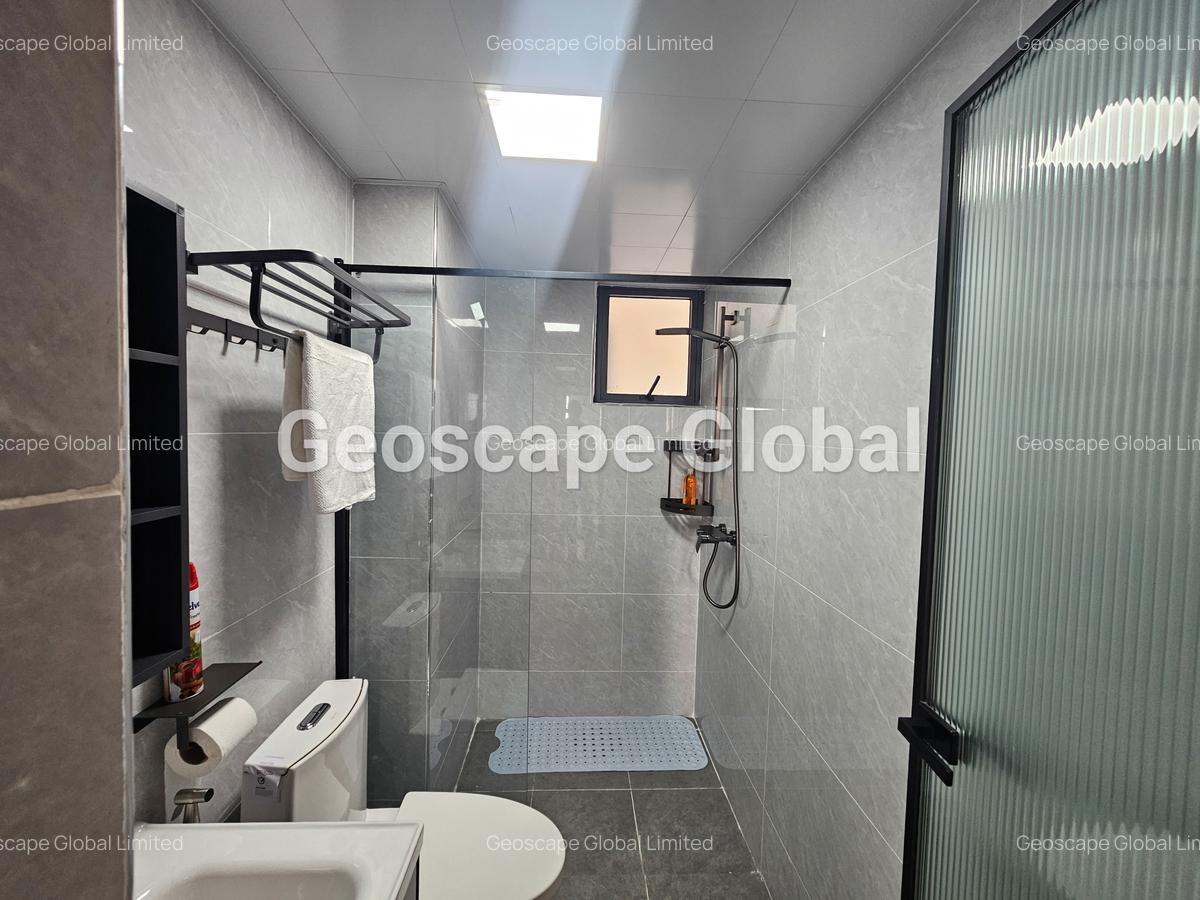 Furnished 2 Bed Apartment with En Suite in Spring Valley - 10