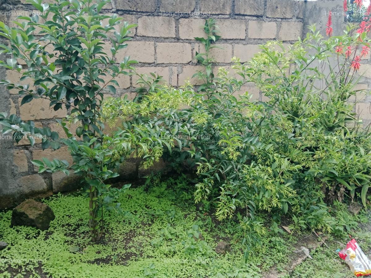 4 Bed House with En Suite at Matasia - 4