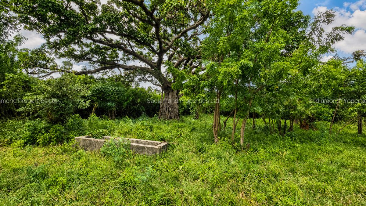 22 ac Land at Kondutsi - 3