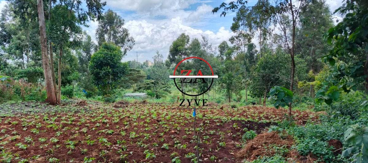 0.125 ac Land at Off Ruaka Banana Road - 6