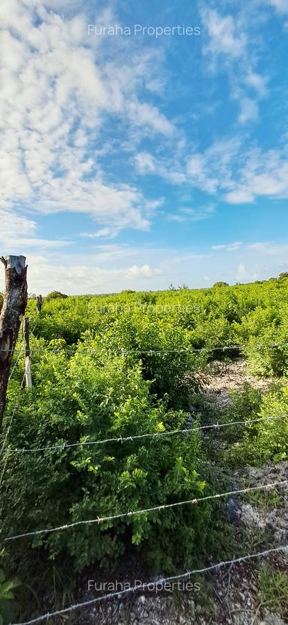 Land at Watamu - 9