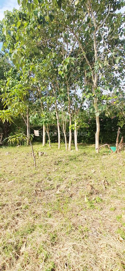 Land at Diani Beach Road - 3
