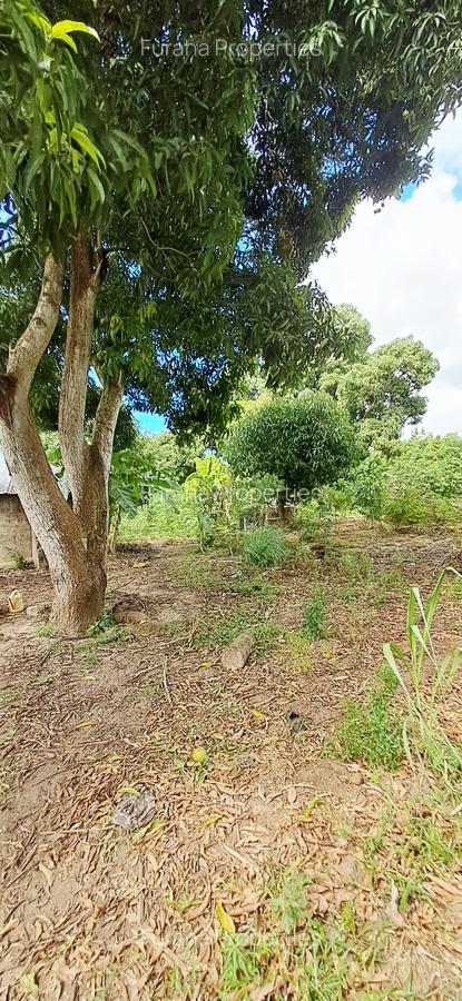 Land at Mtwapa - 10