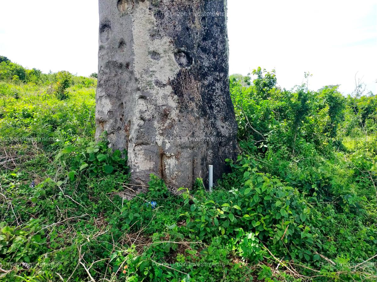 506 m² Land at Mavueni - Mariakani Bypass - 11