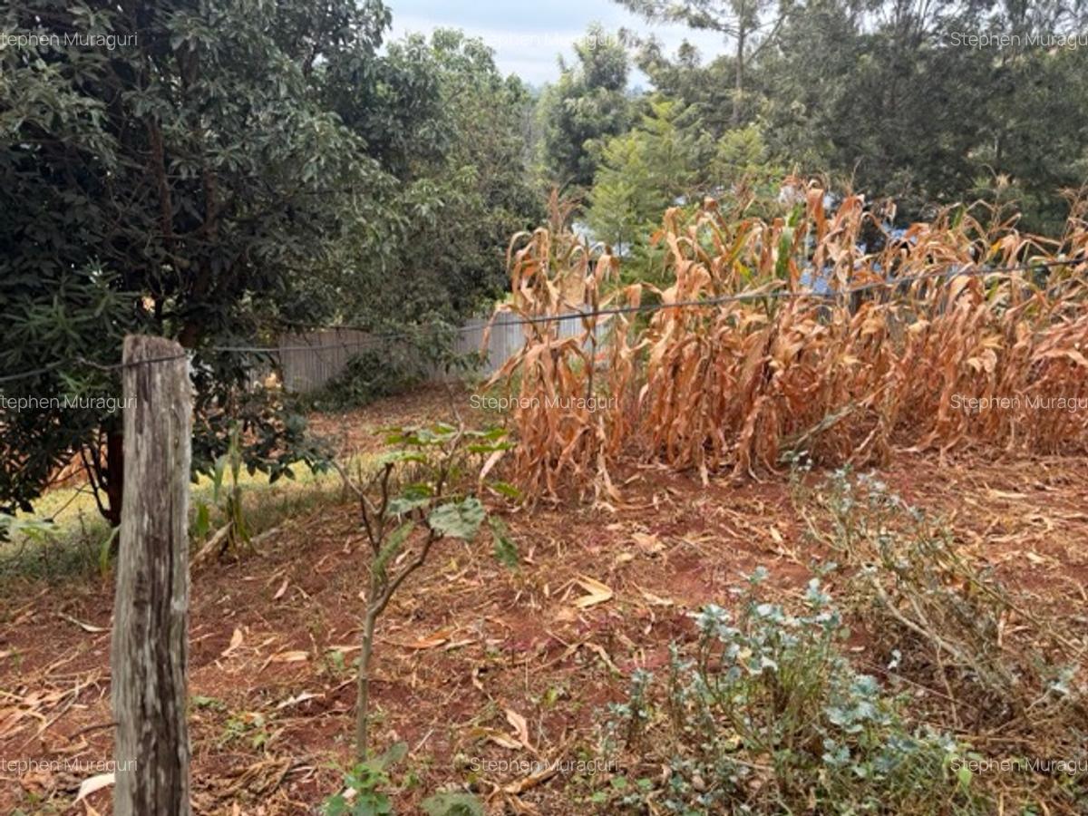 0.25 ac Land in Nyeri - 9