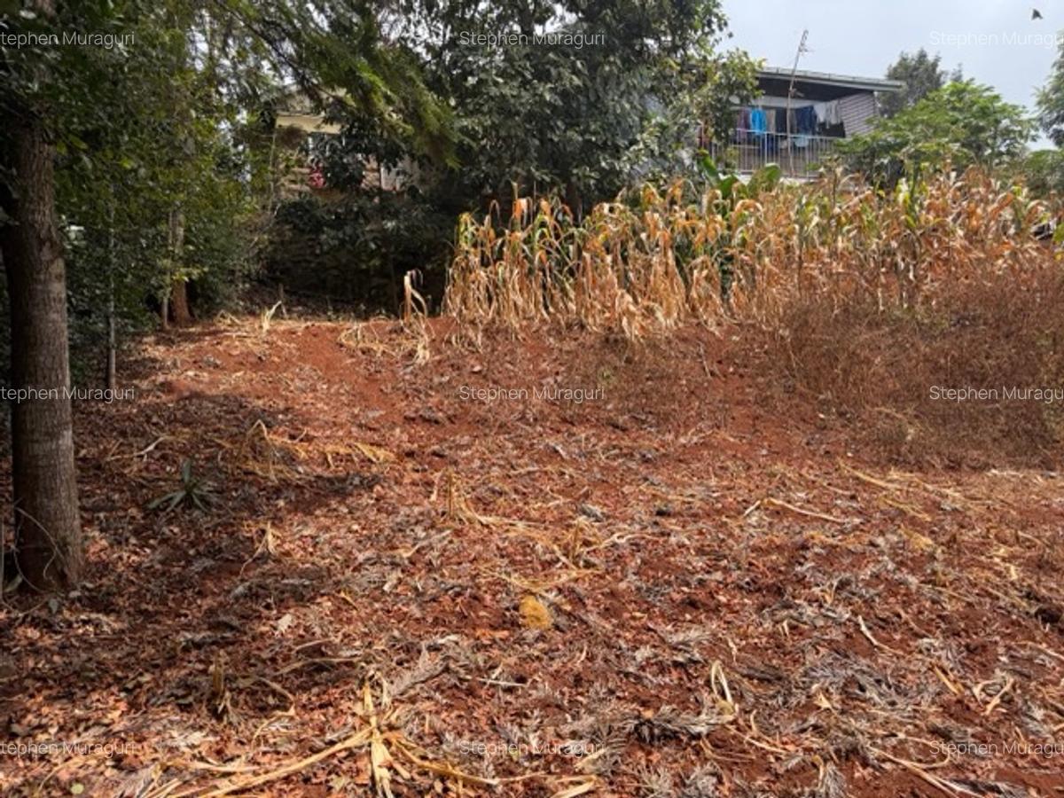 0.25 ac Land in Nyeri - 4