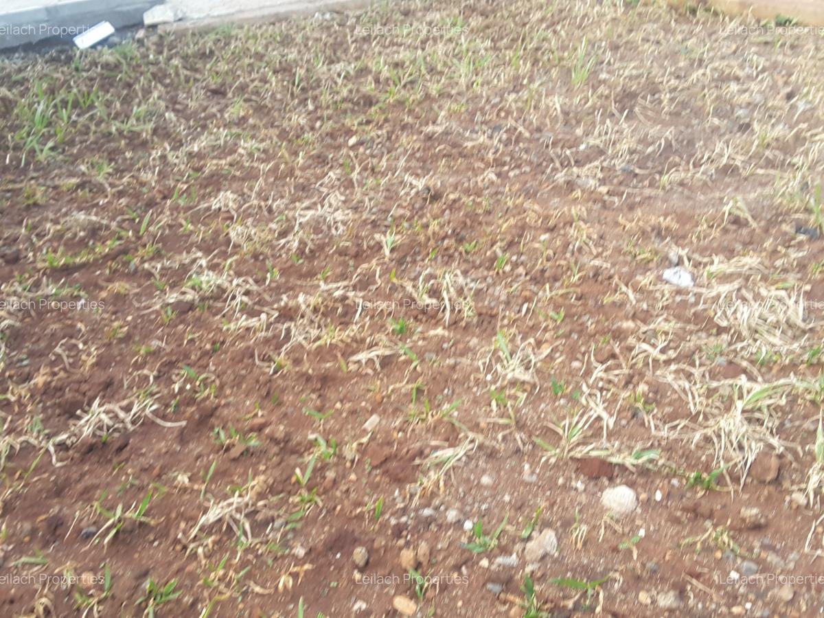 4 Bed House with En Suite in Ngong - 14