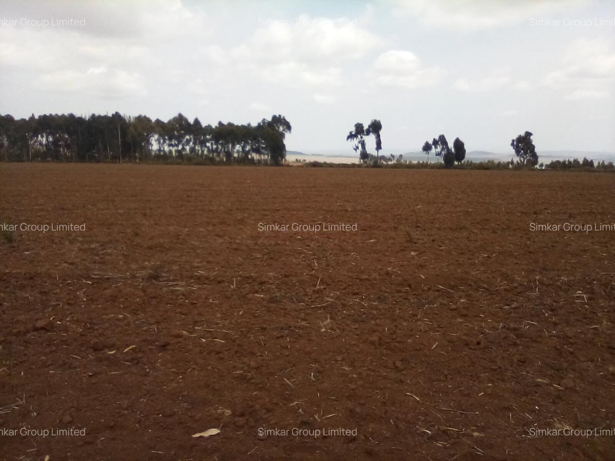Land at Timau - 9