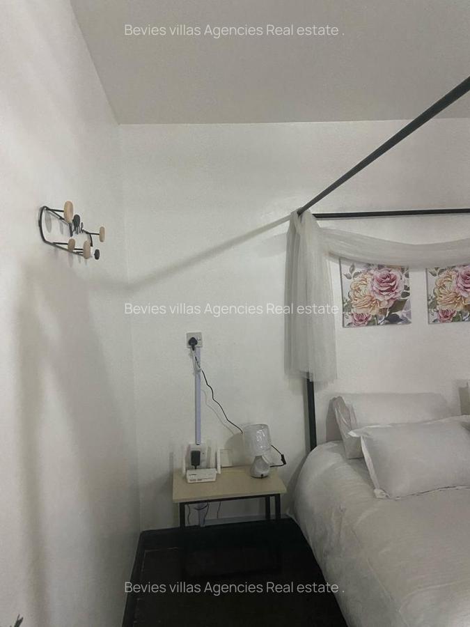 Furnished 1 Bed Apartment with Borehole at Raphta Road - 5