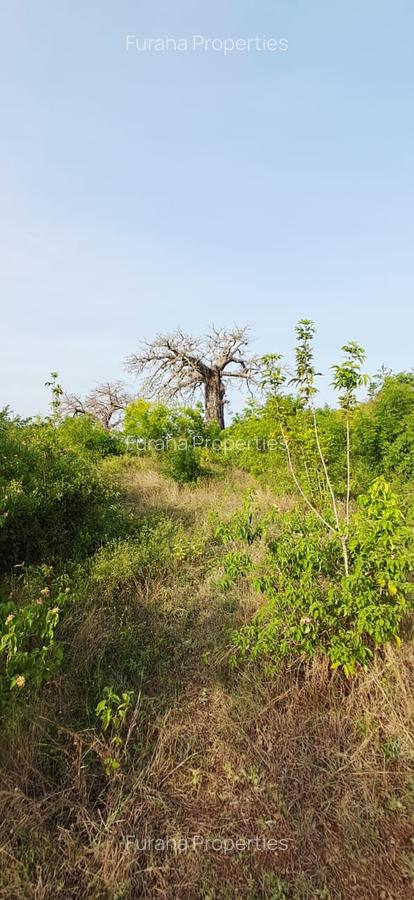 Land in Diani - 16