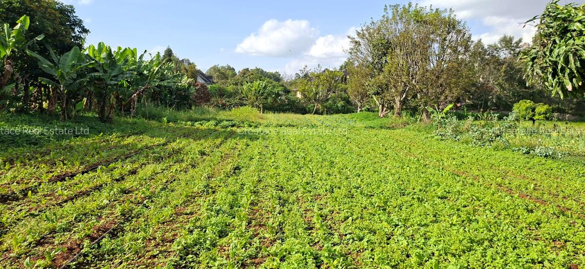 0.2 ha Residential Land at Three Dee Lane - 8