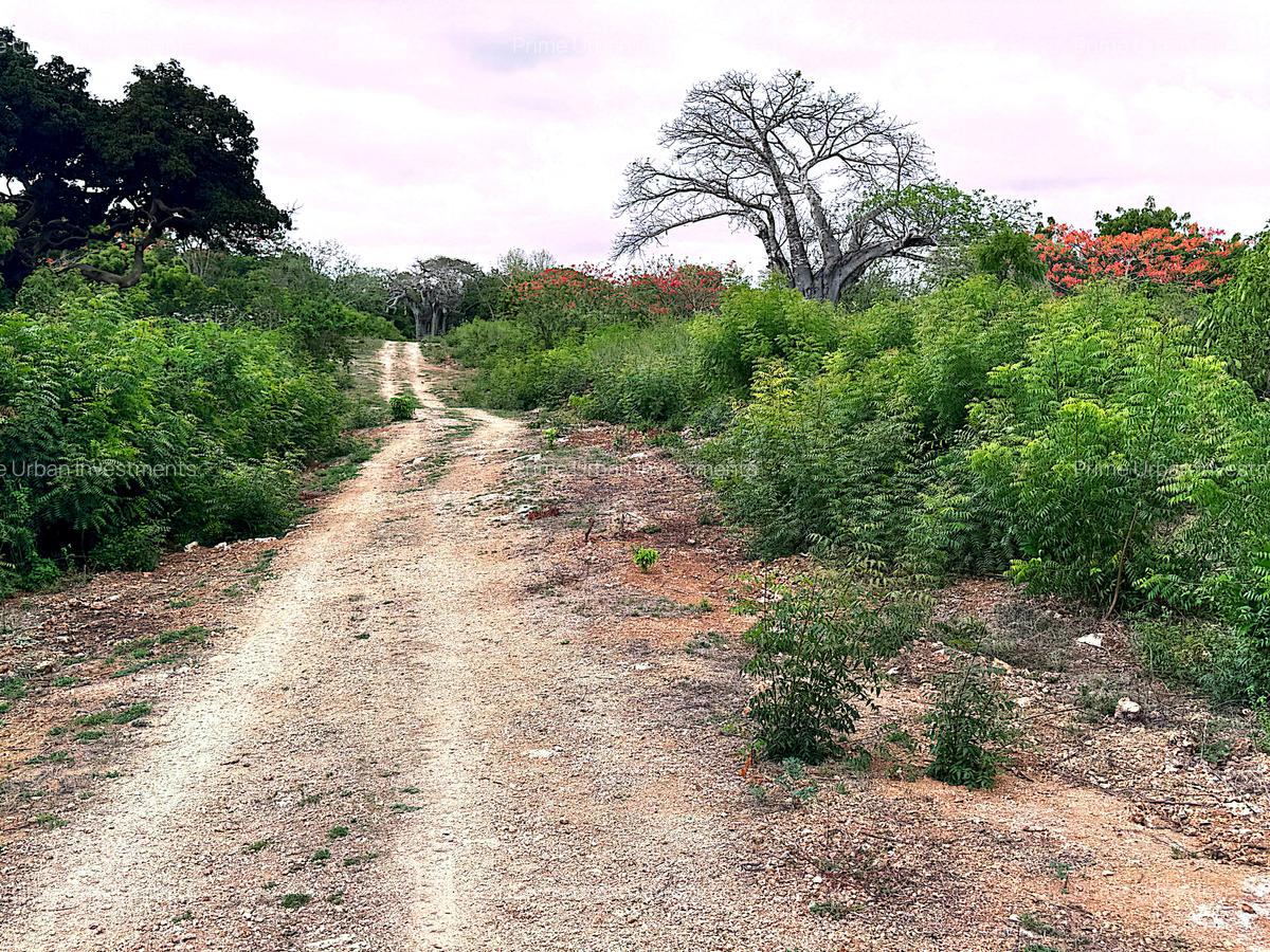 10 ac Land at Kuruwitu Vipingo - 11
