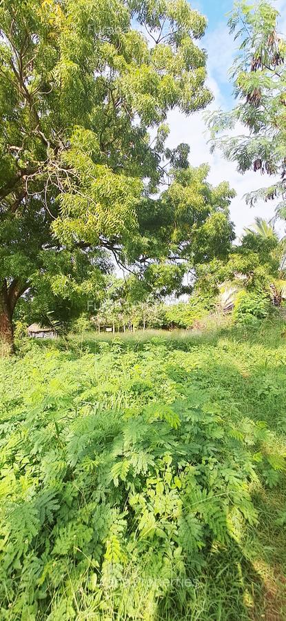 Land at Diani Beach Road - 12