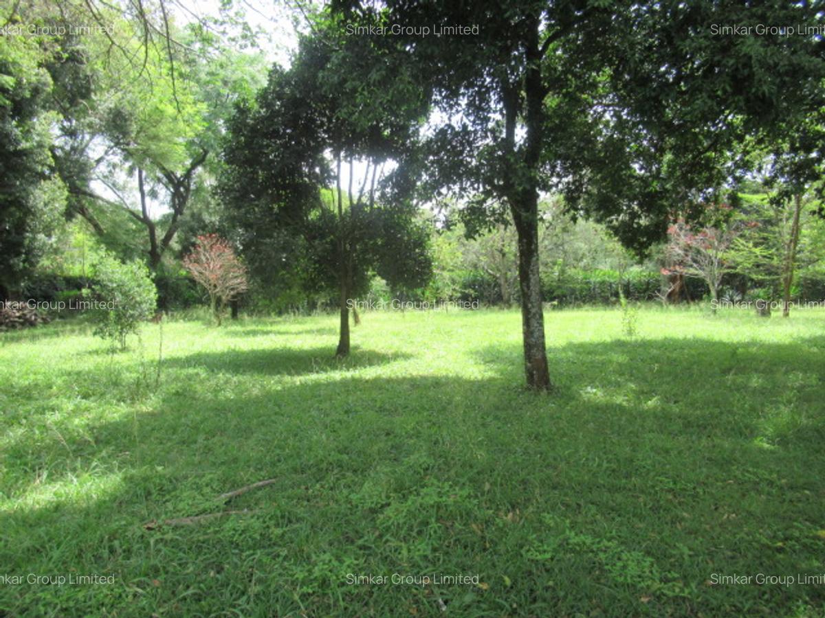 Land at Koitobos Rd - 4