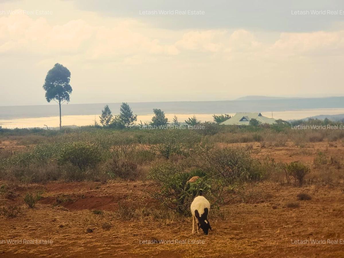 Land in Gilgil - 3